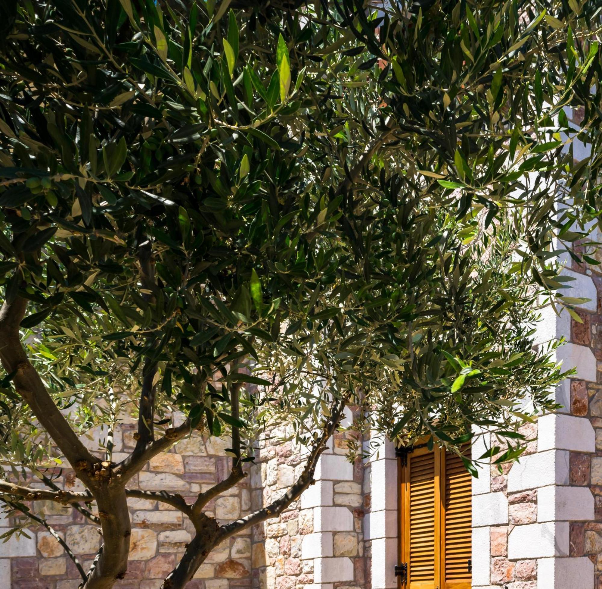 Liokrina Country Living Villas & Suites Koróni Exterior foto